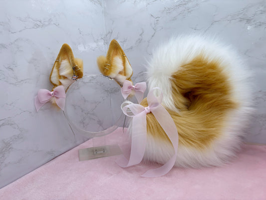 Dainty Honey Shiba Set