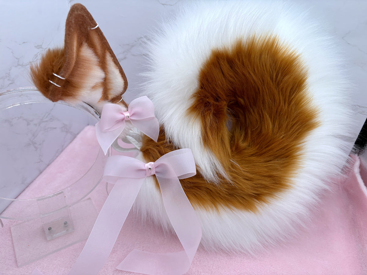 Dainty Ginger Shiba Set