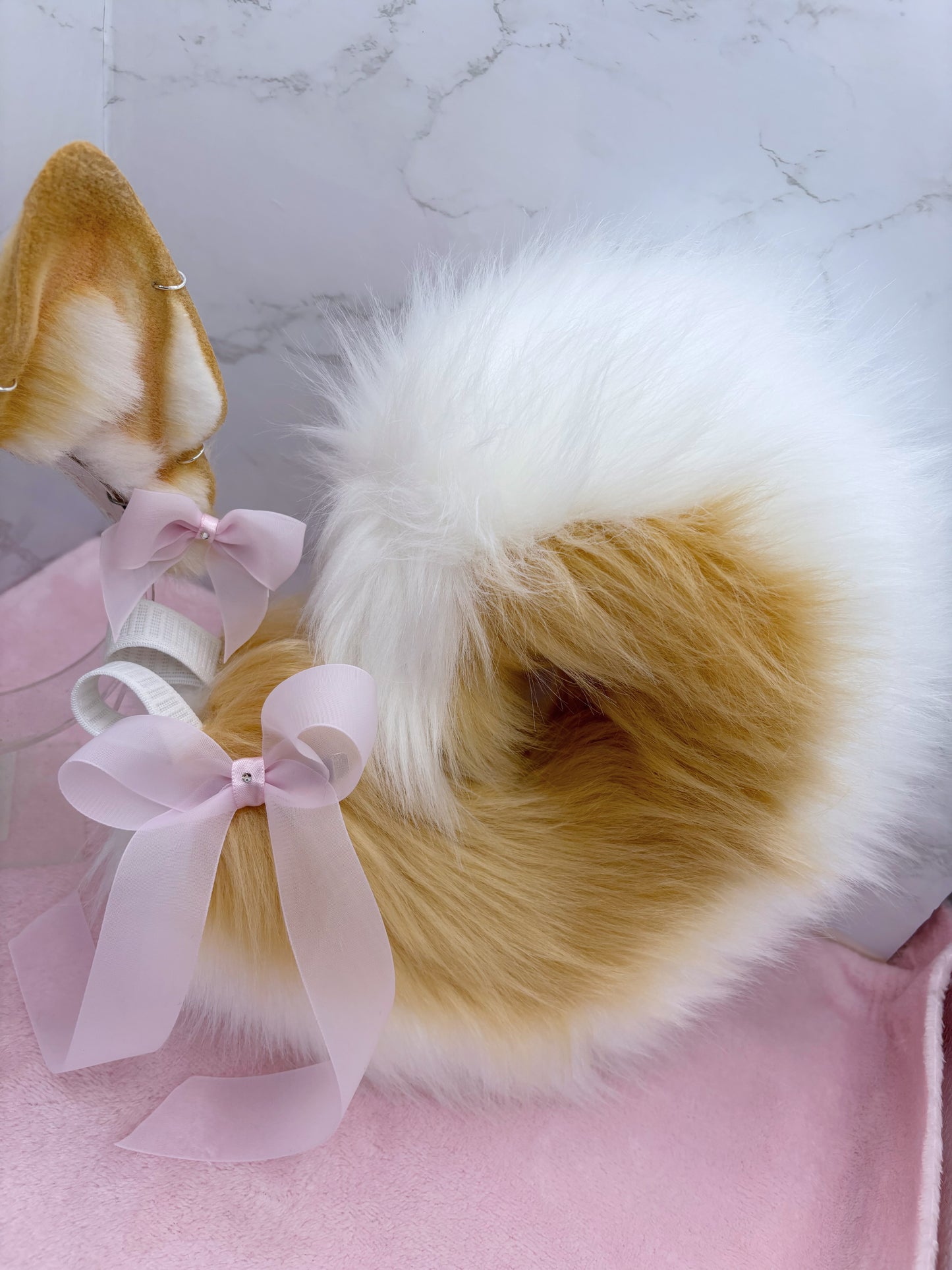 Dainty Honey Shiba Set