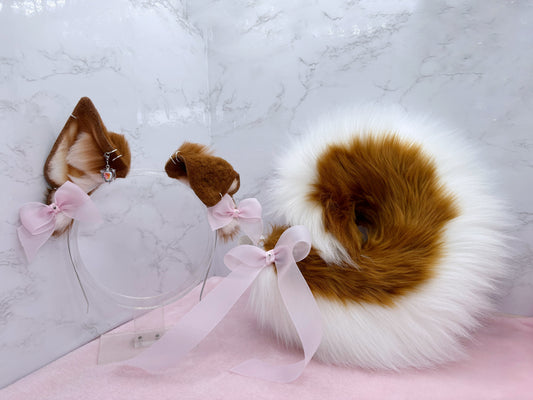 Dainty Ginger Shiba Set