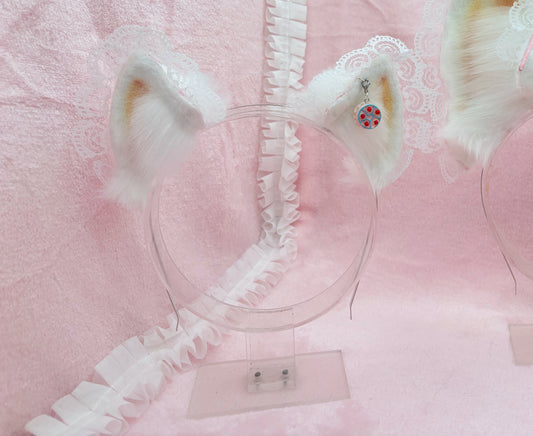 White Lacy Kitten